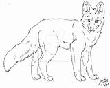 Simensis Canis Andean Lineart Deviantart sketch template