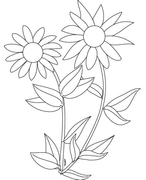 sunflower coloring pages  preschoolers coloringrocks