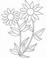 Sunflower Sonnenblume Sunflowers Printable Ausmalbilder Library Coloringtop Preschooler Letzte sketch template