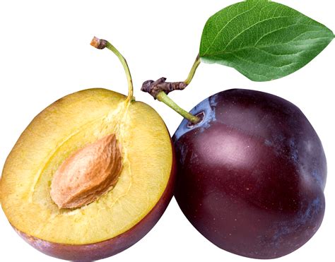 plum png image hq png image freepngimg