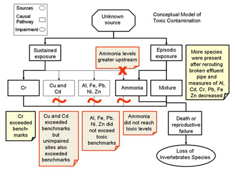 annotated conceptual model diagram  epa