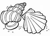 Coloring Seashell Pages Printable Kids Shells Seashells Sea Colouring Print Shell Printables sketch template
