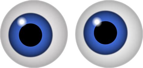 eyeball eyes clipart  images image wikiclipart