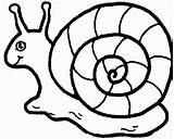 Cartoon Coloring Snails Snail Gif Popular sketch template