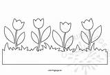 Grass Coloring Flower Border Tulips Flowers sketch template