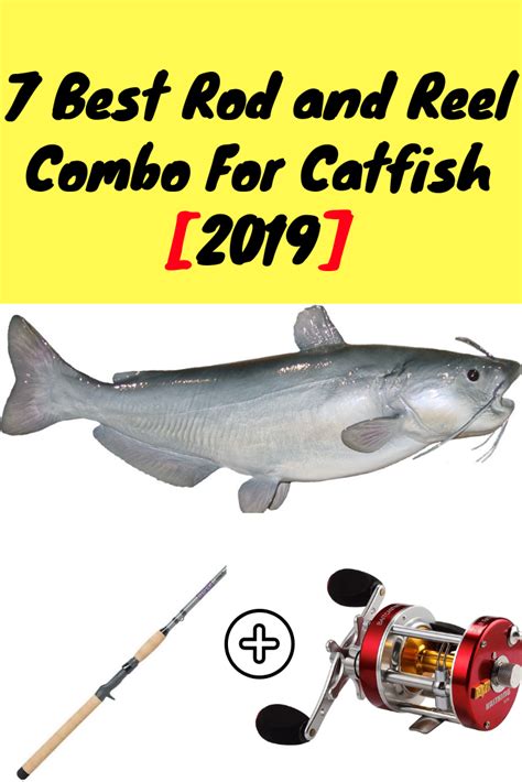 catfish fishing uk