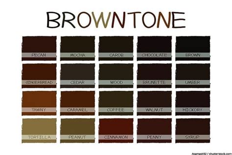 brown paint  guide  mixing brown tones
