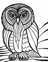 Owl Sowa Kolorowanka Kolorowanki Owls Buho Coruja Gigante Corujas Wydruku Colorir Barn Malowanka Rysunek Buhos Druku Obraz Tudodesenhos Gigantes Clipground sketch template