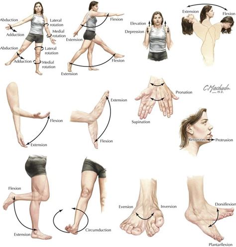 body movement diagram