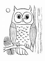 Owls Coloringhome Bestappsforkids Getcolorings sketch template