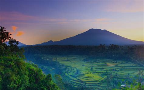 Rice Fields Bali Indonesia Wallpapers Top Free Rice Fields Bali 90d