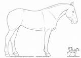 Horse Coloring Pages Quarter Friesian Head Drawing Line Printable Color Lines Getcolorings Getdrawings Popular Colori sketch template