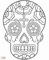Calavera Coloring Getcolorings Skull Sugar sketch template