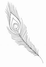 Feather Coloring Peacock Pages Eagle Outline Drawing Feathers Bird Easy Turkey Clipart Paintingvalley Line Color Printable Getcolorings Getdrawings Template Explore sketch template