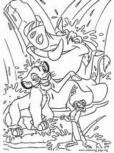 Timon Pumbaa Simba sketch template