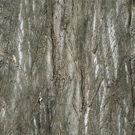 bim object tree trunk texture textures polantis   cad