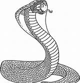 Coloring Snake Printable Cobra Pages Kids Drawing King Getdrawings Animalplace sketch template