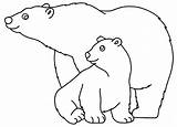 Urso Desenho Ursos Gostar Ainda Pode Estão Brincadeiras Faça Fazer sketch template