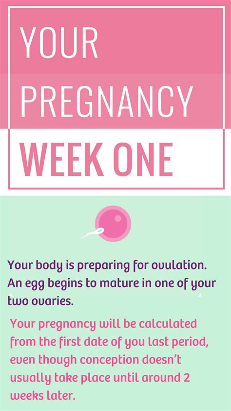 what are the earliest signs of pregnancy first week pregnancywalls