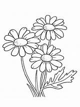 Hand Daisies sketch template