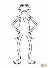 Kermit Frog Coloring Drawing Pages Standing Printable Muppets Drawings Popular Supercoloring Dot Getdrawings sketch template
