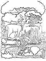 Coloring Fairy Deer Deers Pages Printable Large Edupics Print Kids Coloringkids sketch template