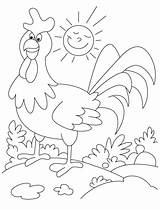 Coloring Rooster Pages Farm Animals Kids Funny Animal Colouring Printable Clipart Book Getcolorings Color Getdrawings Library Popular sketch template