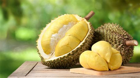 durian fruit   infamous smell     taste