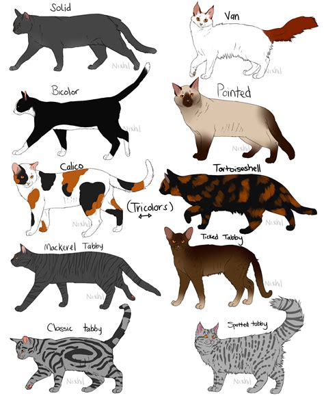 cat fur patterns  nixhil  deviantart