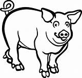 Pig Clipart Outline Hog Drawing Coloring Baboy Transparent Mammals Line Svg Clip Boar Cartoon Pet Eps Pigs Ai Cliparts Background sketch template