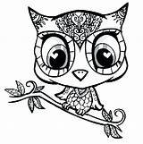 Coloring Pages Owl Skull Sugar Getcolorings Girly sketch template