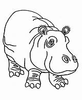 Coloring Hippo Hippopotamus Awesome Animals Drawing Netart Pages Kb Getdrawings sketch template