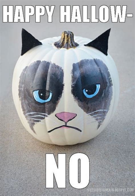 the grumpiest grumpy cat memes to sadden your day snappy pixels