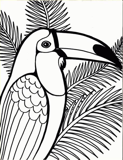 beautiful bird coloring pages images bird coloring pages animal