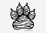 Tiger Paw Print Drawing Sketch Clipart Middle Paintingvalley sketch template