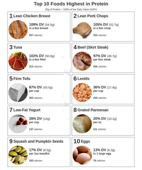 high protein foods   daily infographic