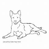 Cattle Laying Heeler Puppy Dogs Eps Dxf sketch template