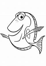 Dory Nemo Momjunction Findet Procurando Malvorlagen Polochon Silhouette Dorie Malvorlage Parentune Fische Minions Cuadernos Faciles Animalitos sketch template