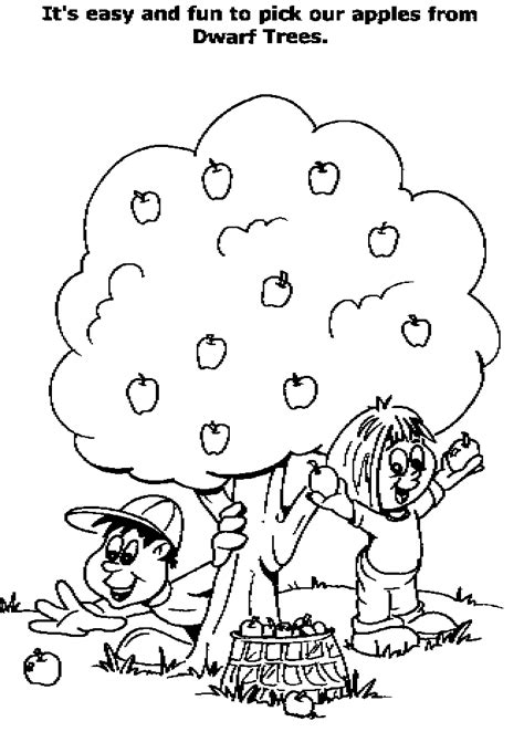apple tree coloring page clip art library