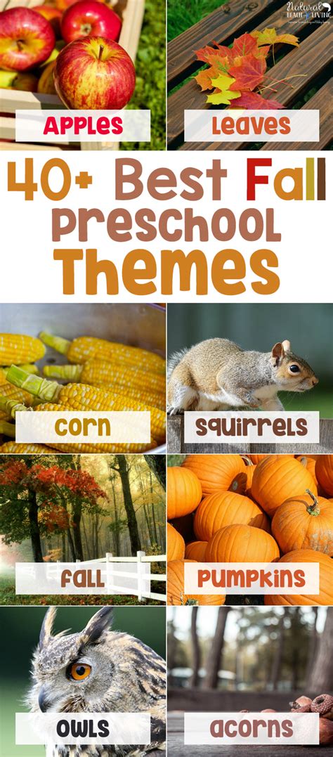 fall preschool themes  activities natural beach living