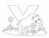 Alphabet Coloring Pages Letter Printable Kids Animal Worksheets Printables Yak Preschool sketch template