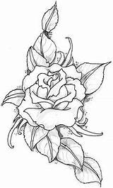Pages Coloring Adult Flowers Rose sketch template