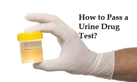 pass  urine drug test home remedies