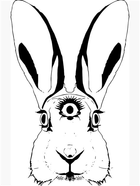 eyed rabbit photographic print  shumjules redbubble