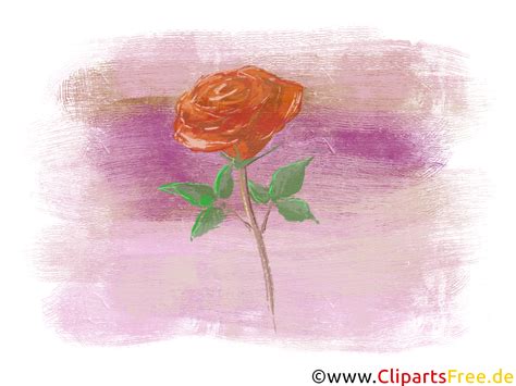 rose illustration grafik bild clip art kostenlos