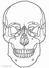 Skull Red Coloring Pages Printable Getcolorings Color sketch template