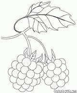 Colorkid Coloring Berries Handicraft sketch template