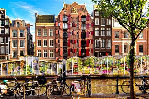 bloemenmarkt pictures  beautiful places amsterdam travel canals