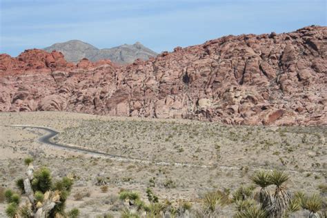 desert scene picture image