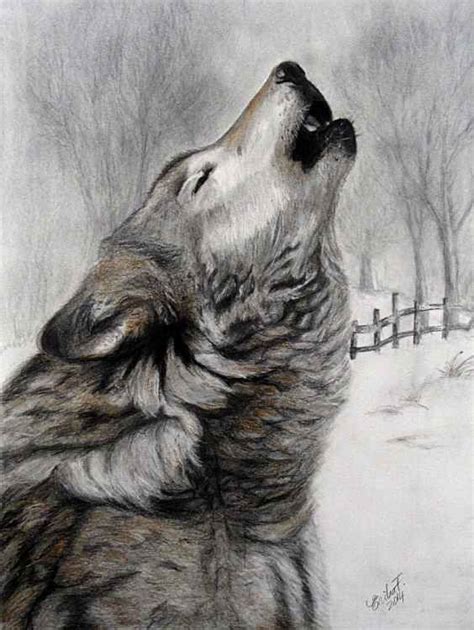 Howling Wolf Pencil Drawings Drawings Wolf Howling